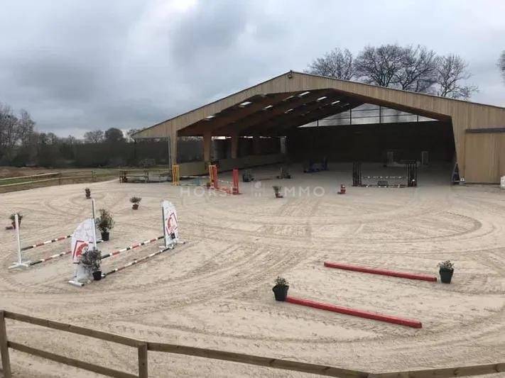 Stoeterij Koop Ile-et-Vilaine
