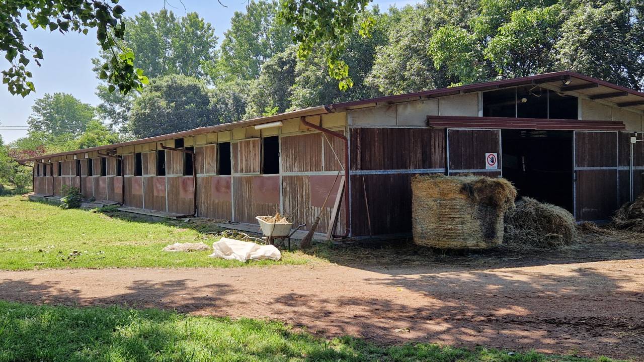Ruiterclub Koop Ferrara