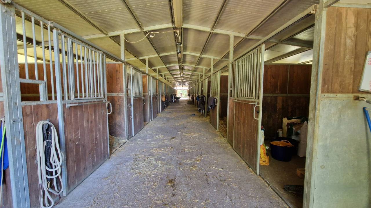 Ruiterclub Koop Ferrara