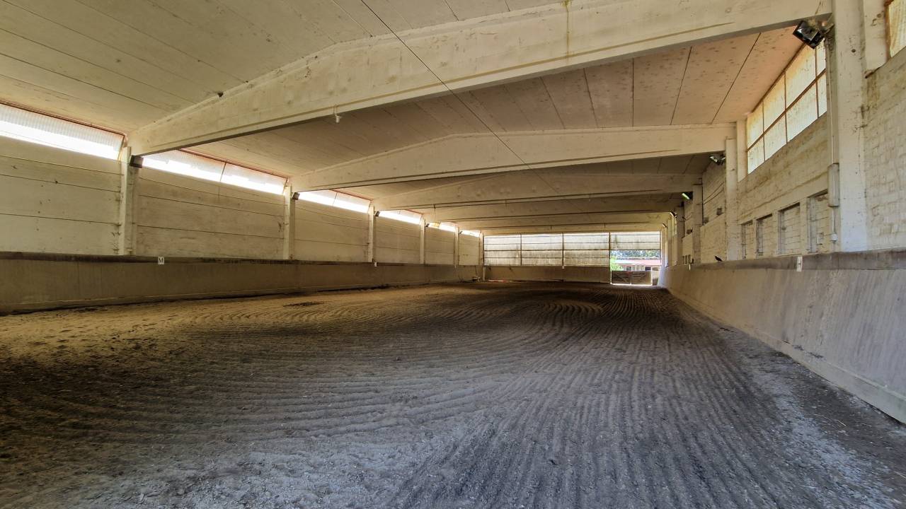 Ruiterclub Koop Ferrara
