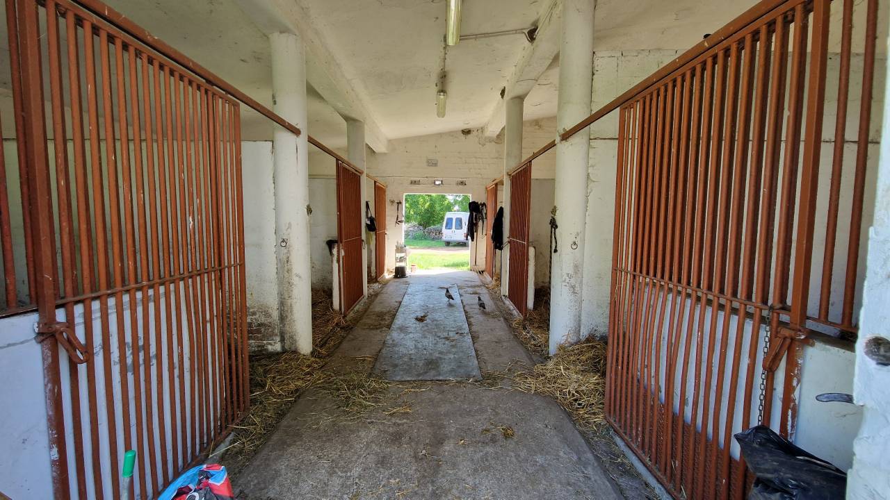 Ruiterclub Koop Ferrara
