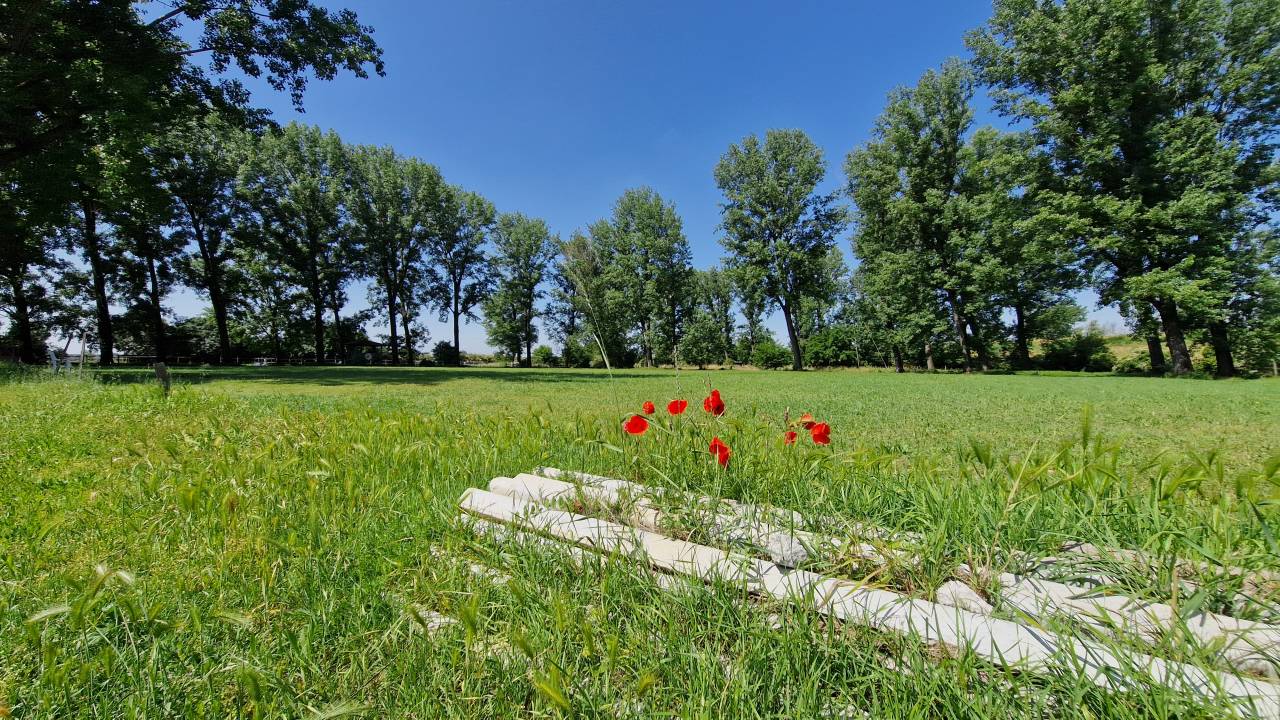 Ruiterclub Koop Ferrara