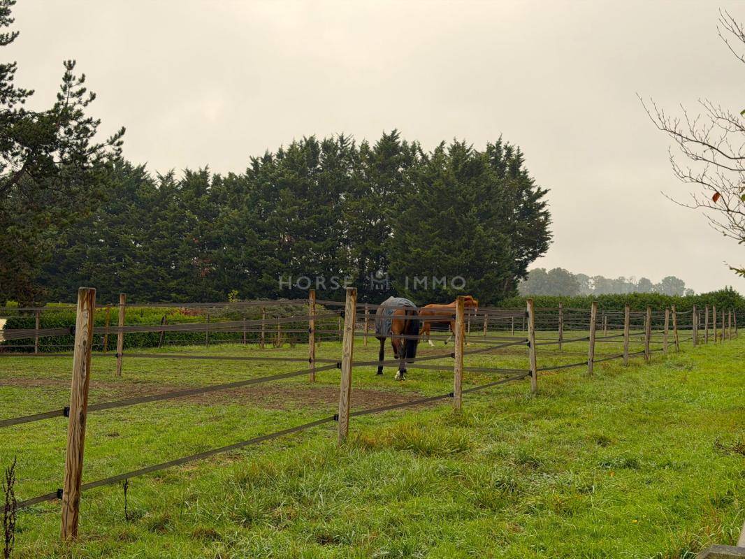 Hippisch vastgoed Koop Yvelines