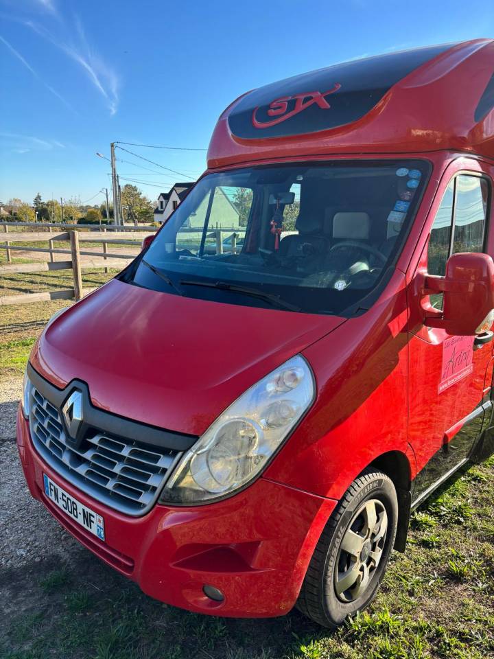 Kleine paardenvrachtwagen (B rijbewijs) STX RENAULT STX MASTER 2020 Tweedehands