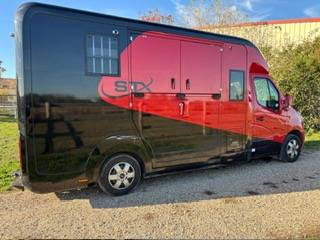 Kleine paardenvrachtwagen (B rijbewijs) STX RENAULT STX MASTER 2020 Tweedehands