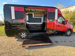 Kleine paardenvrachtwagen (B rijbewijs) STX RENAULT STX MASTER 2020 Tweedehands
