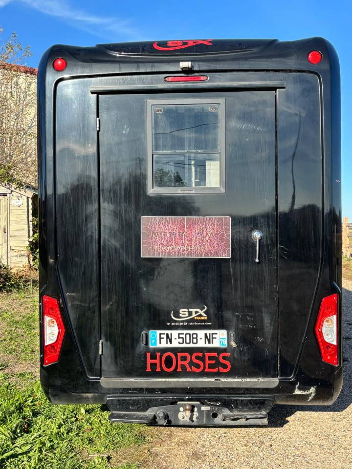 Kleine paardenvrachtwagen (B rijbewijs) STX RENAULT STX MASTER 2020 Tweedehands
