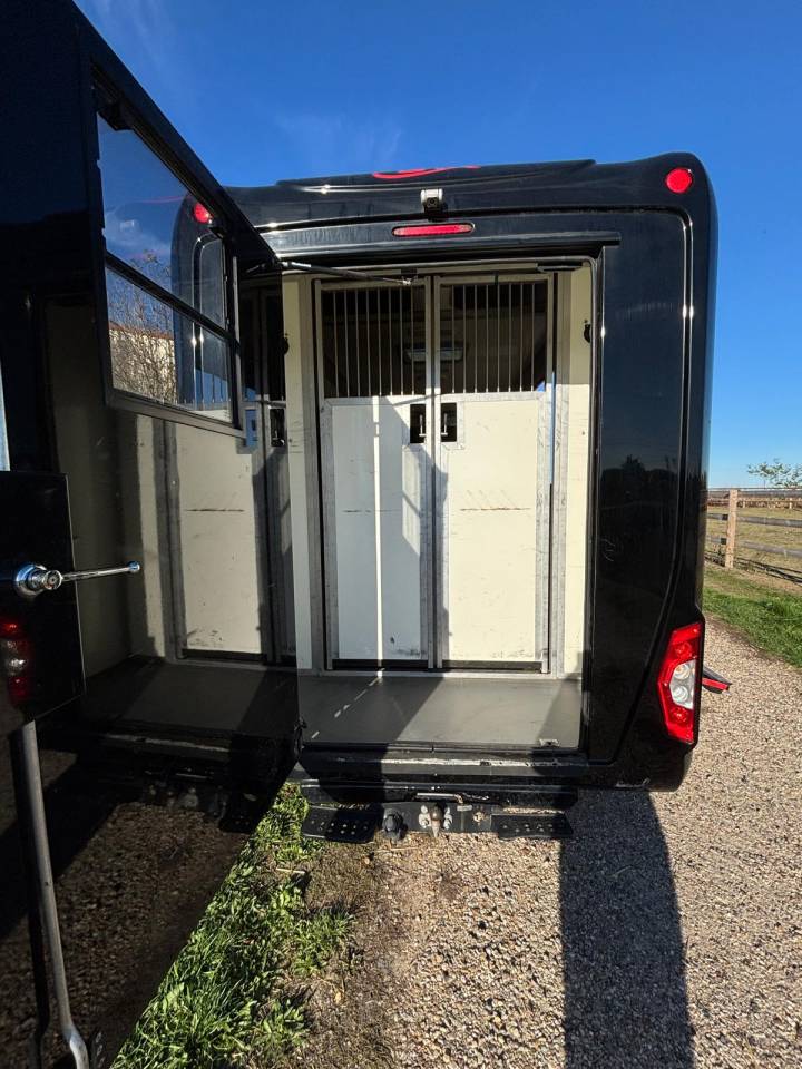 Kleine paardenvrachtwagen (B rijbewijs) STX RENAULT STX MASTER 2020 Tweedehands