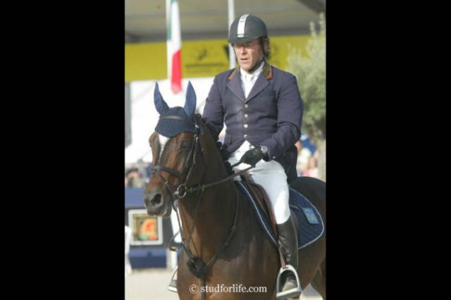 Toulon - BWP Belgisch volbloed 1996 ,  HEARTBREAKER