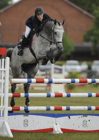 Clarimo - Holsteiner 2003 ,  CLEARWAY HOLST