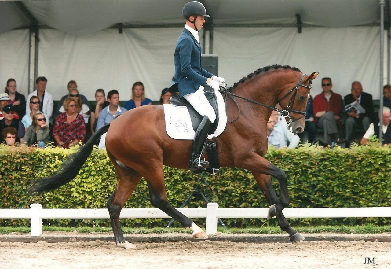 ZZ TOP - KWPN Nederlands sportpaard 2004 ,  Glock's Tango