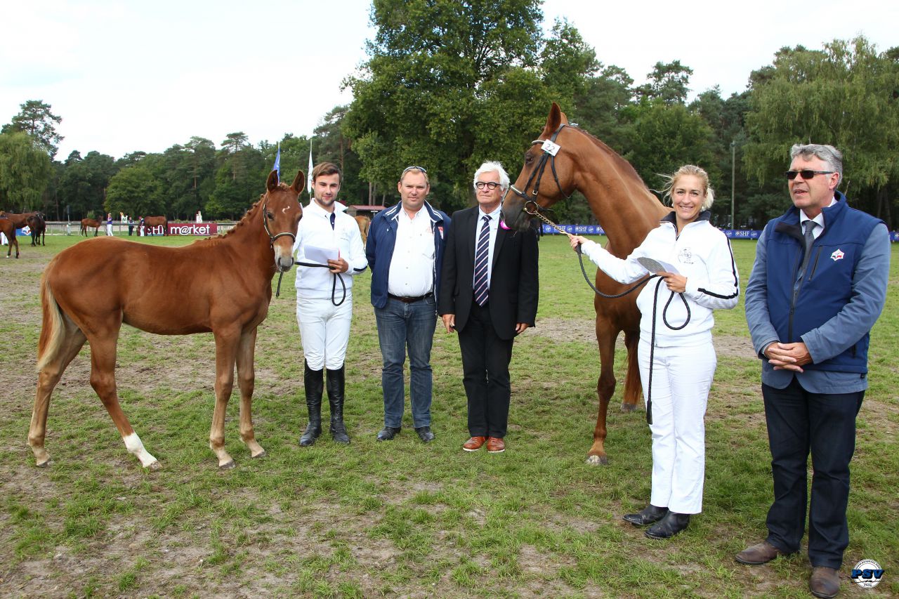 ZZ TOP - KWPN Nederlands sportpaard 2004 ,  Glock's Tango