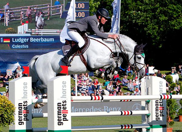 Colestus - Westphalian 2006 ,  CORNET OBOLENSKY