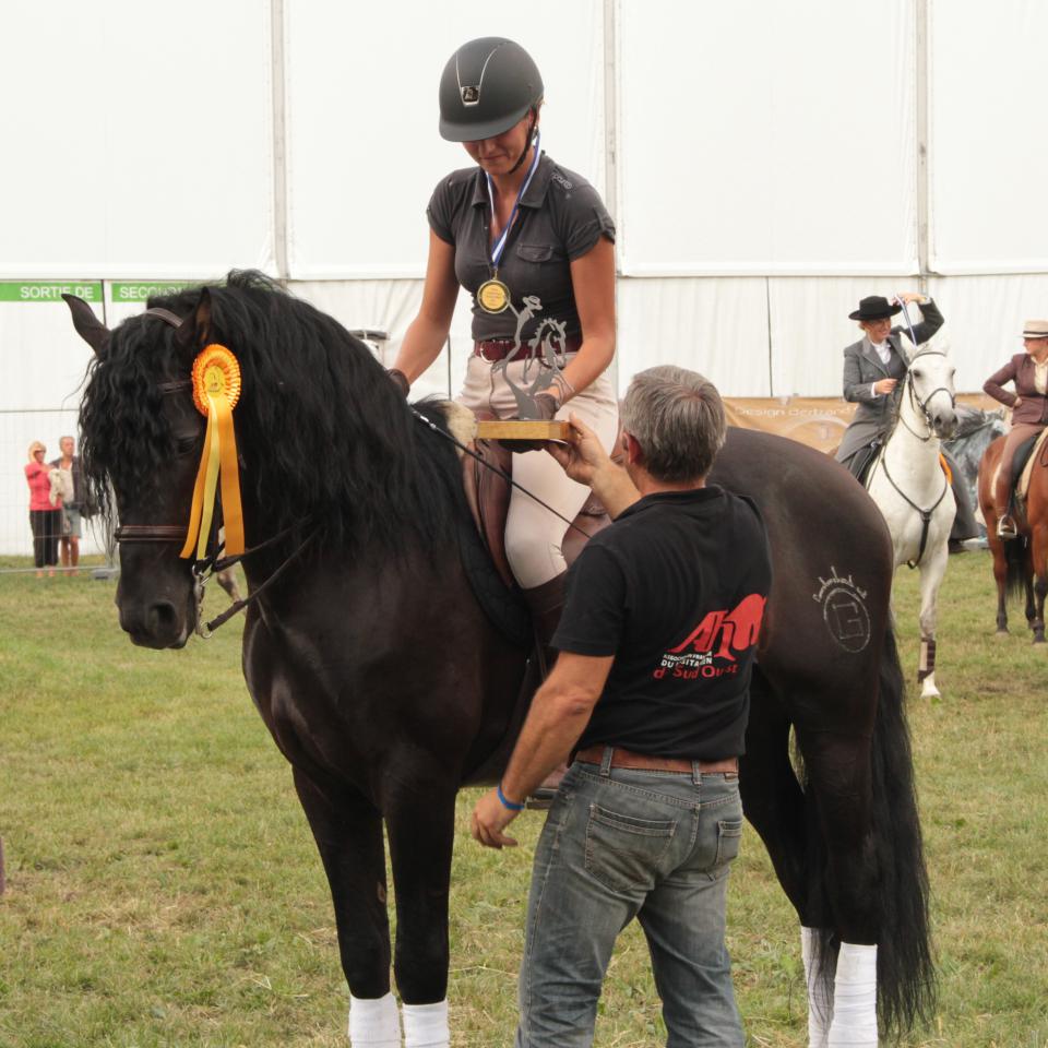 TENORIO DE VERLIN - PRE Puur Ras Spaans 2007 ,  NIGER V
