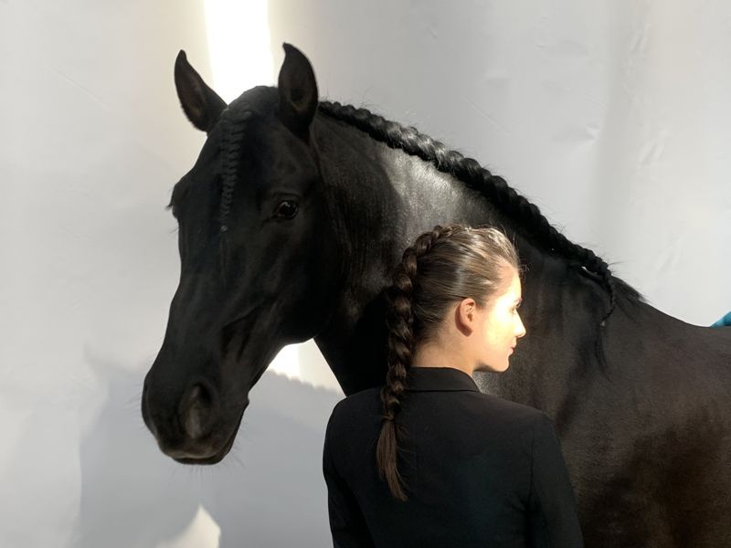 TENORIO DE VERLIN - PRE Puur Ras Spaans 2007 ,  NIGER V