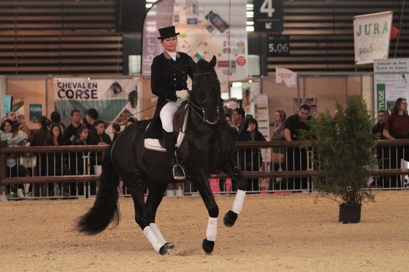 TENORIO DE VERLIN - PRE Puur Ras Spaans 2007 ,  NIGER V