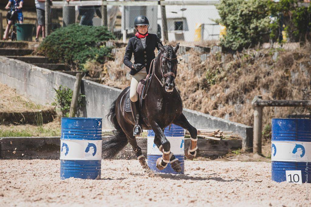 TENORIO DE VERLIN - PRE Puur Ras Spaans 2007 ,  NIGER V