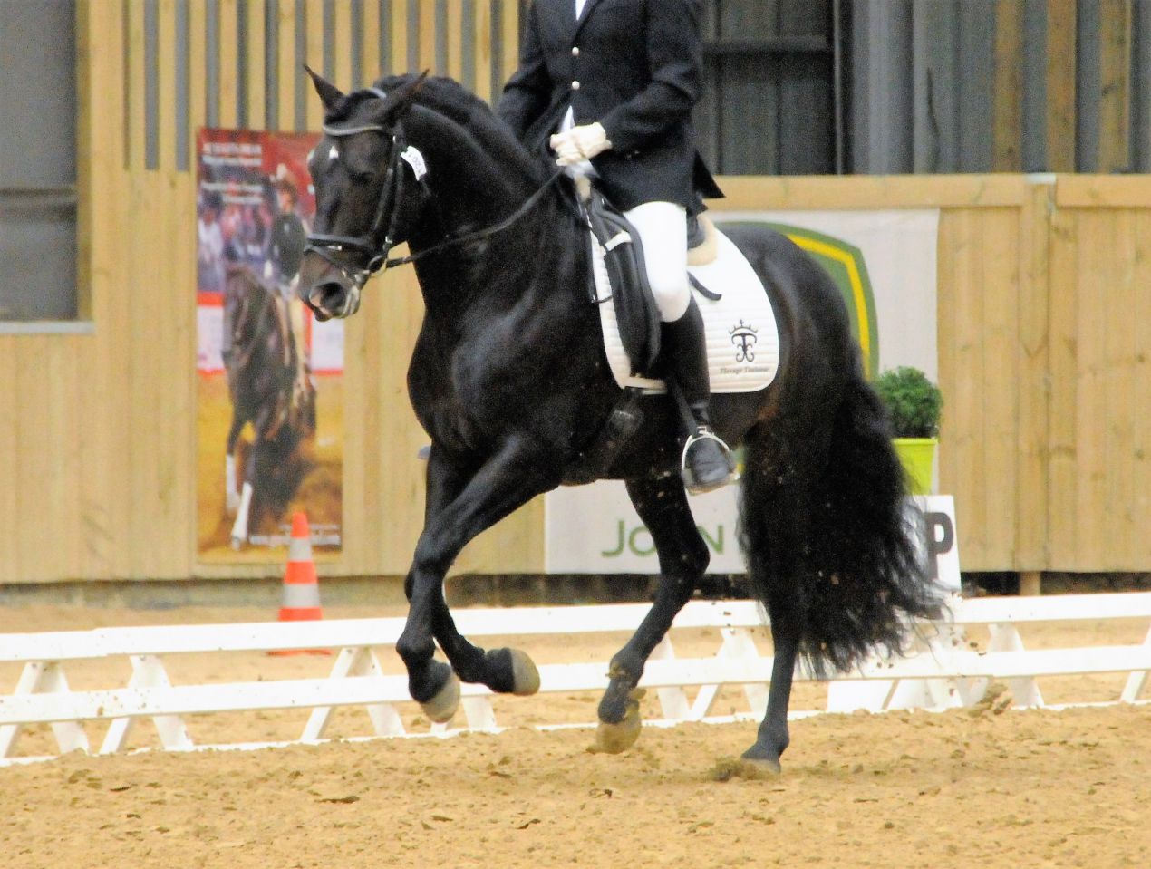 Telguero SBA - PRE Puur Ras Spaans 2007 ,  ENGANOSO VI