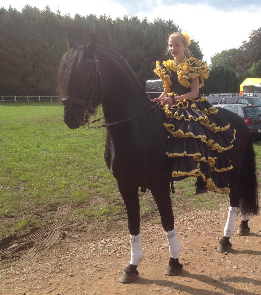 DARK VREDESTICHTER 022 - Arabo Fries 2007