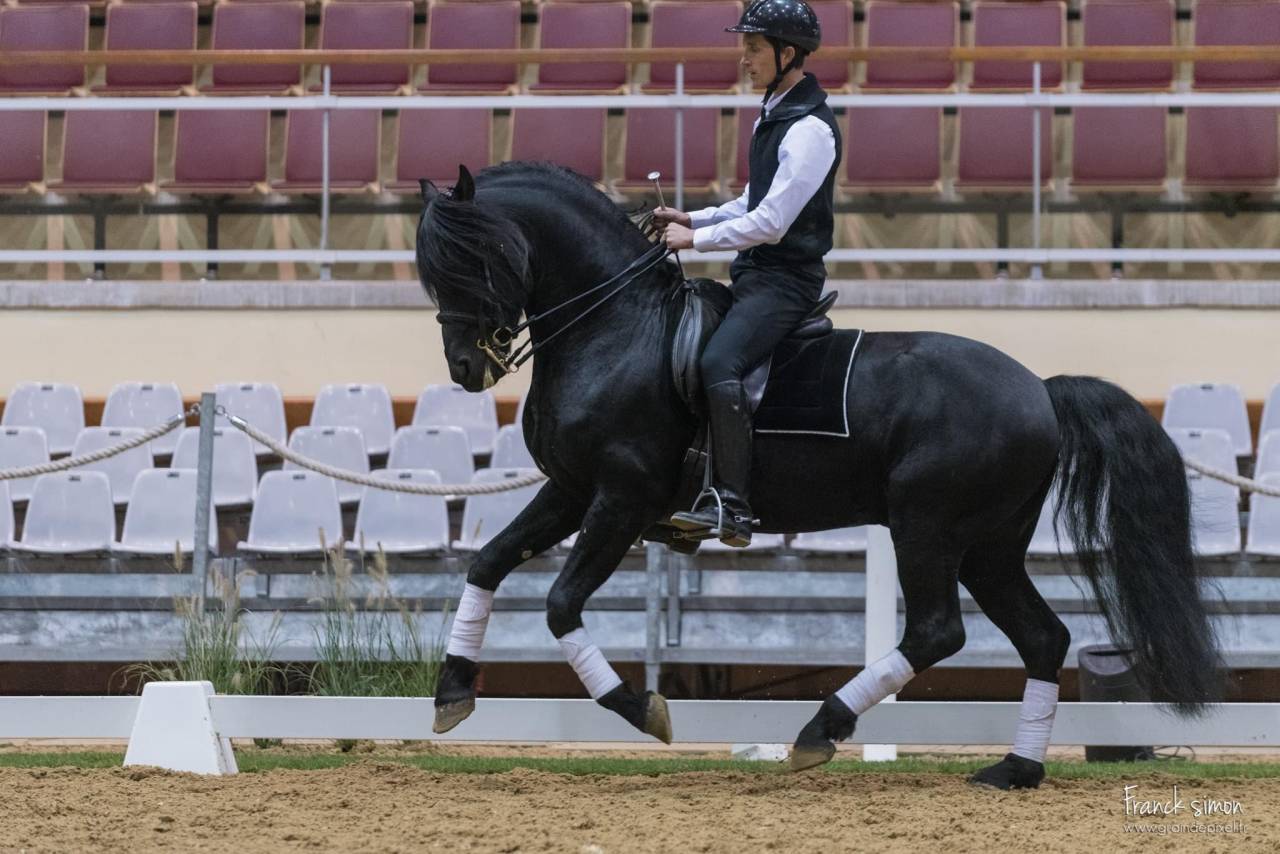 DARK VREDESTICHTER 022 - Arabo Fries 2007