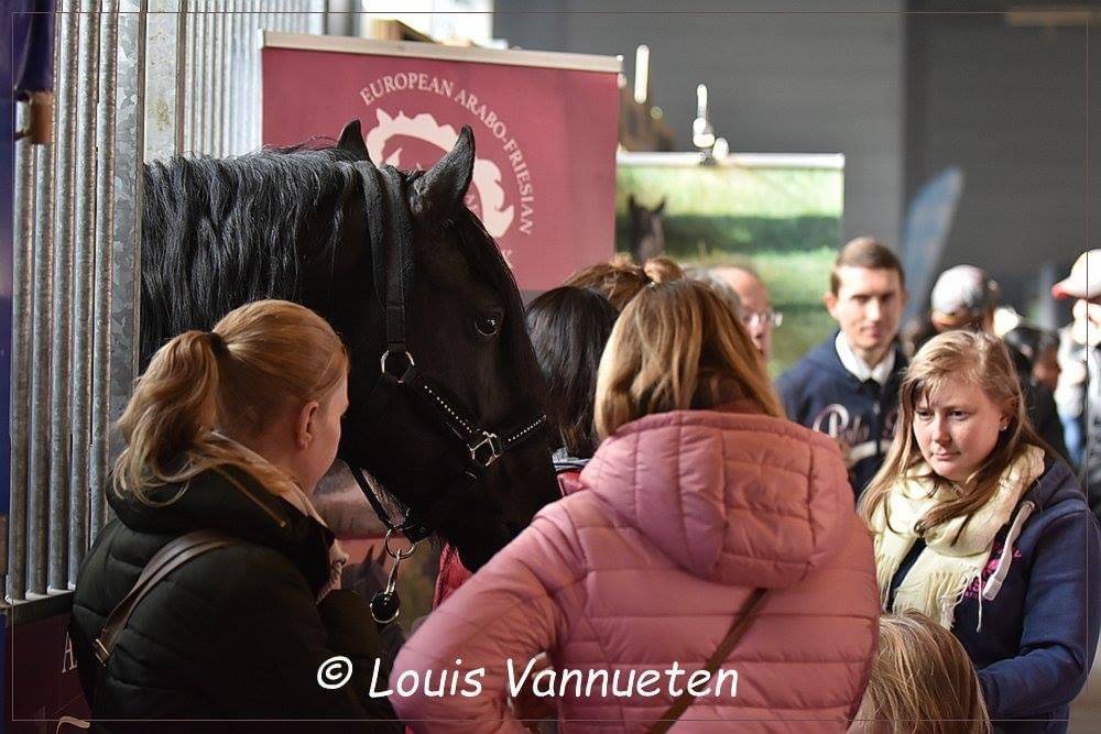 DARK VREDESTICHTER 022 - Arabo Fries 2007