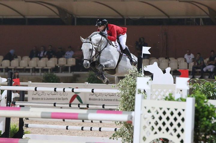 Garfield des Templiers - BWP Belgisch volbloed 2006 ,  Quazimondo z