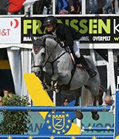 Garfield des Templiers - BWP Belgisch volbloed 2006 ,  Quazimondo z