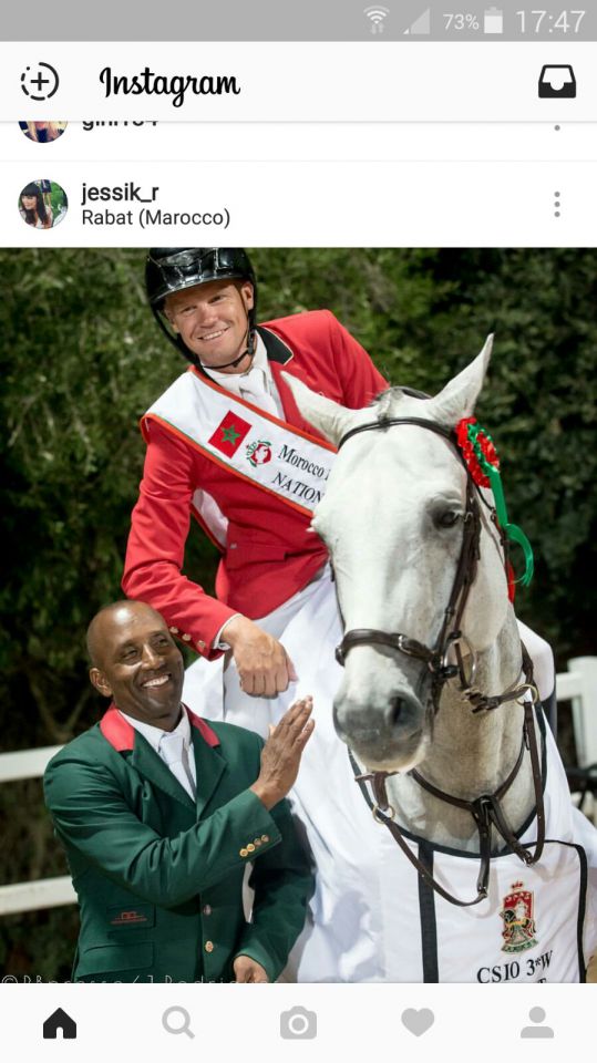 Garfield des Templiers - BWP Belgisch volbloed 2006 ,  Quazimondo z