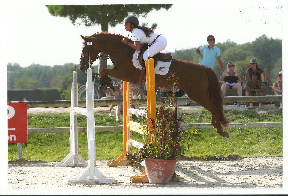 ROCKENROL GEVAUDAN - New Forest 2005 ,  IVOIRE DE CIVRY 