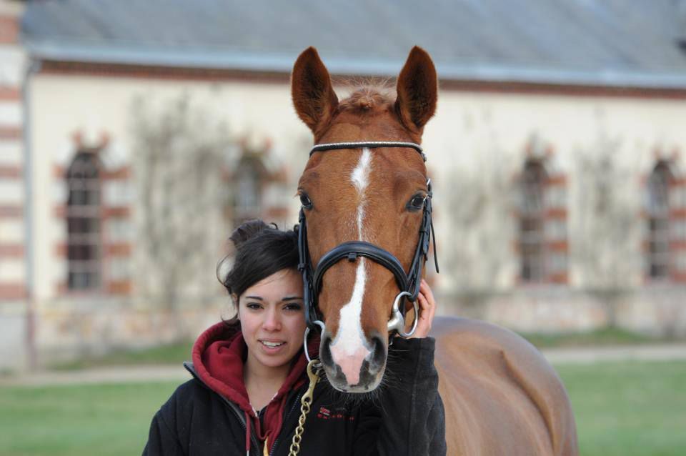 ROCKENROL GEVAUDAN - New Forest 2005 ,  IVOIRE DE CIVRY 