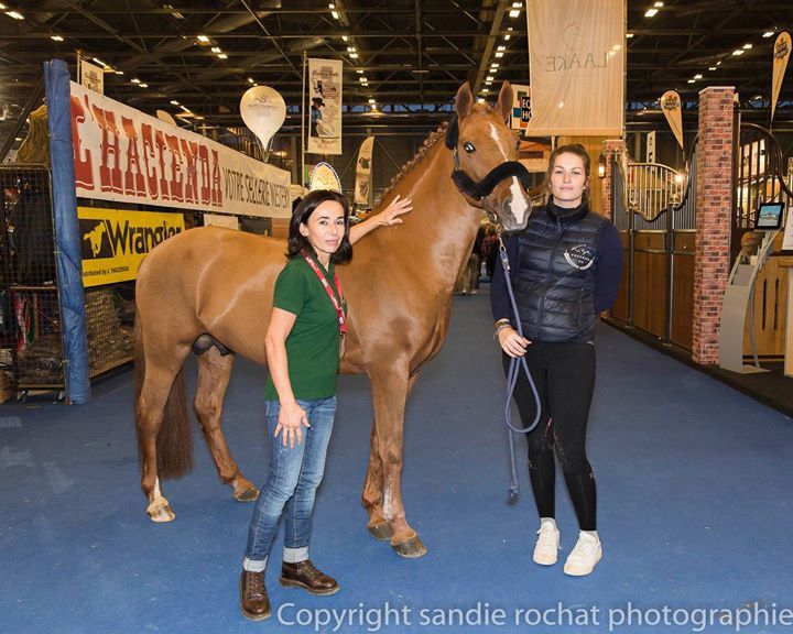 ROCKENROL GEVAUDAN - New Forest 2005 ,  IVOIRE DE CIVRY 