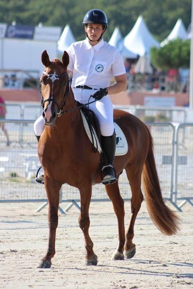 ROCKENROL GEVAUDAN - New Forest 2005 ,  IVOIRE DE CIVRY 