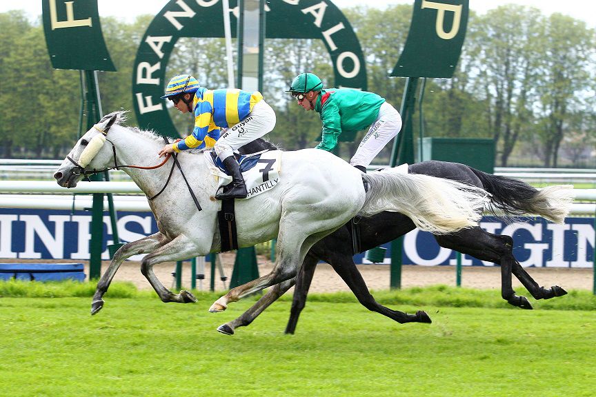 FLY WITH ME - Engels volbloed 2010 ,  BEAT HOLLOW