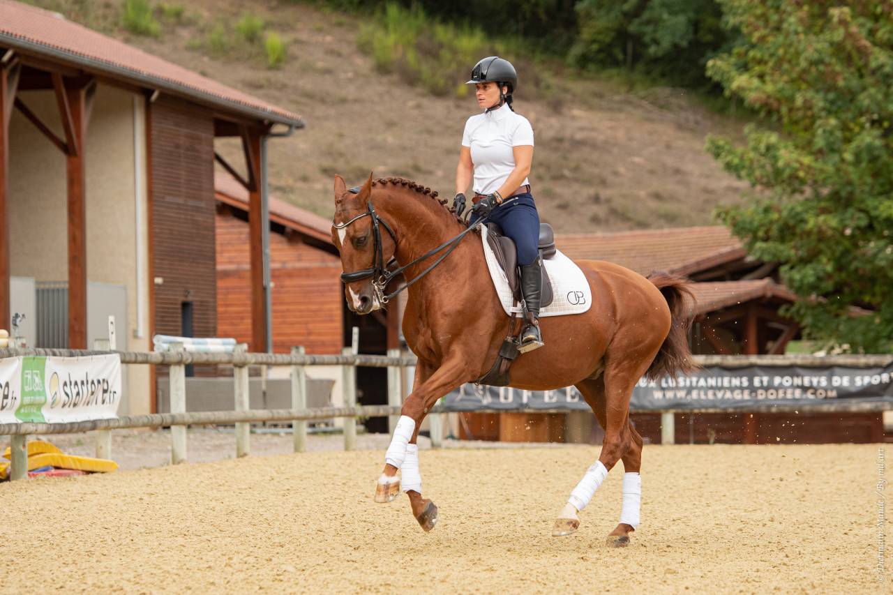 EROS - Lusitano 2009 ,  unico