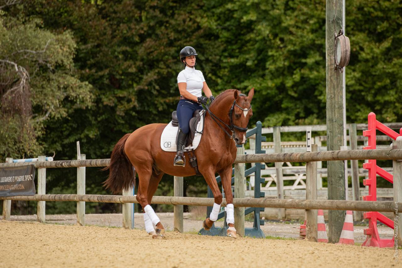 EROS - Lusitano 2009 ,  unico
