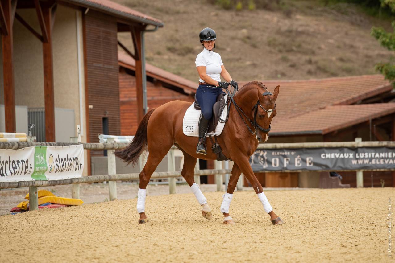 EROS - Lusitano 2009 ,  unico