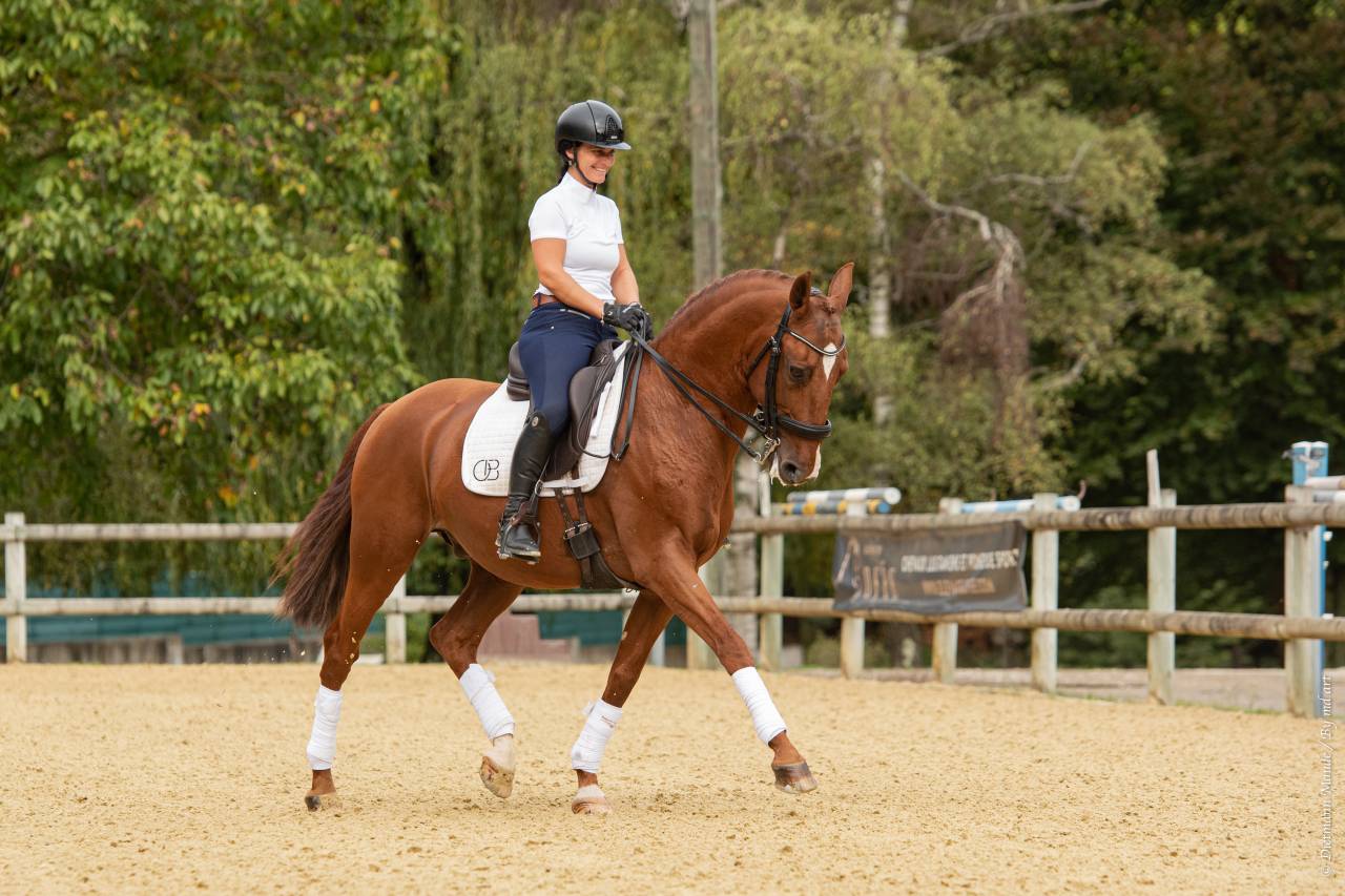 EROS - Lusitano 2009 ,  unico