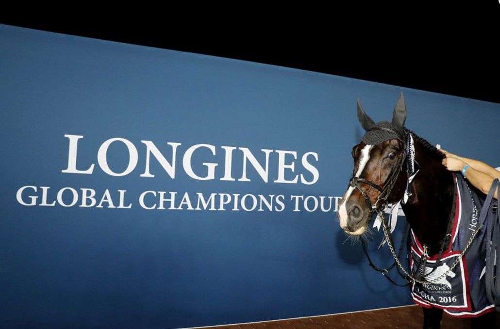 Casall ASK - Holsteiner 1999 ,  Caretino