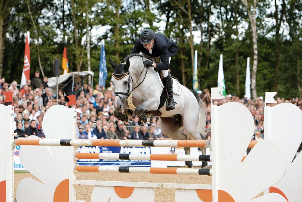 Cornet's Stern - Westphalian 2003 ,  CORNET OBOLENSKY