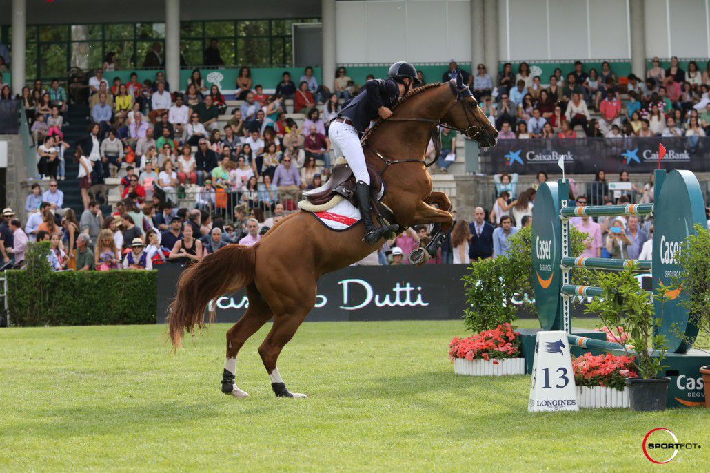 Romanov - KWPN Nederlands sportpaard 1998 ,  HEARTBREAKER