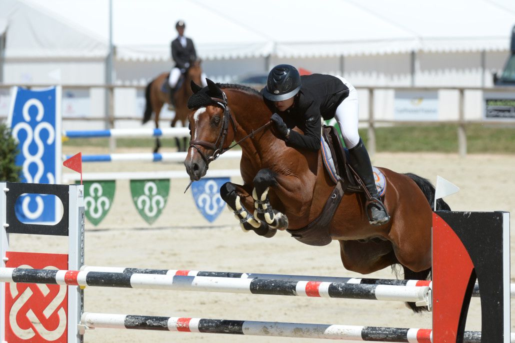 Ugo des Clas - Franse rijpony PFS 2008 ,  MACHNO CARWYN