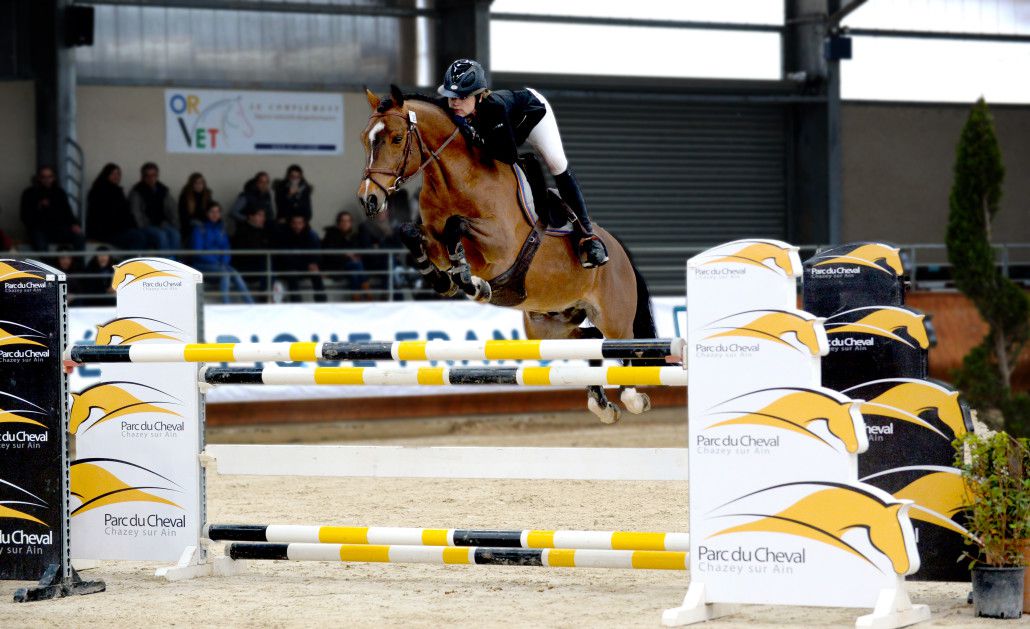 Ugo des Clas - Franse rijpony PFS 2008 ,  MACHNO CARWYN