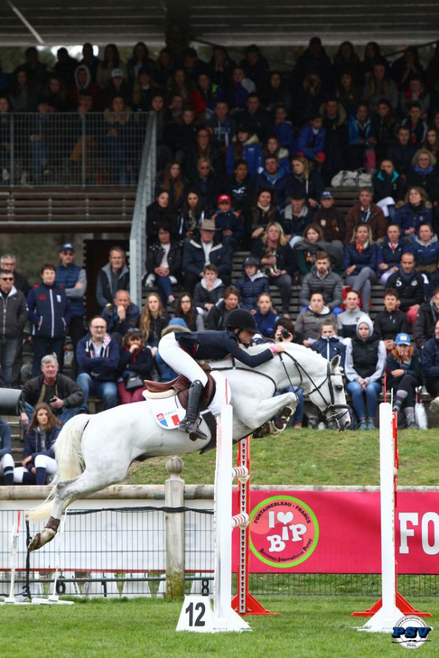 Uhélem de Seille - Franse rijpony PFS 2008