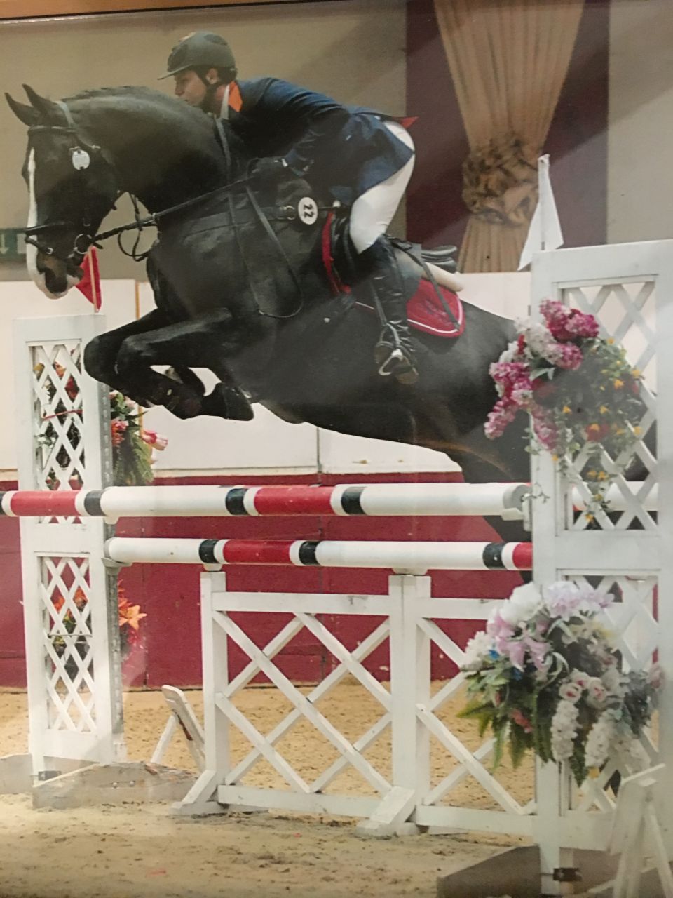 Zodjan J - KWPN Nederlands sportpaard 2004 ,  NEGRO