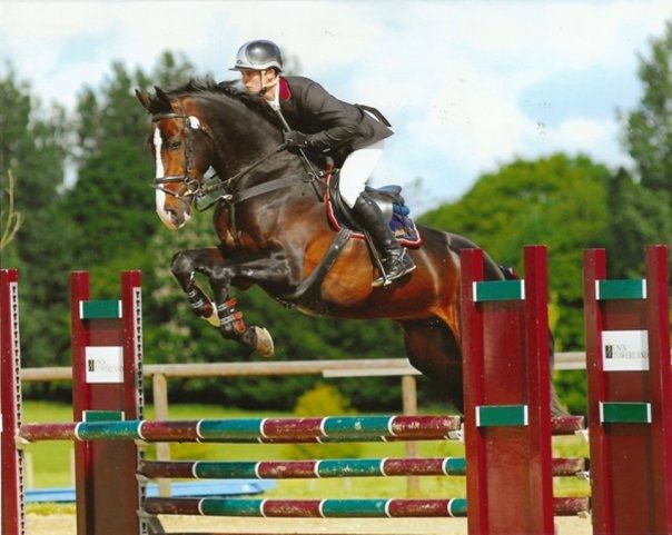 Zodjan J - KWPN Nederlands sportpaard 2004 ,  NEGRO