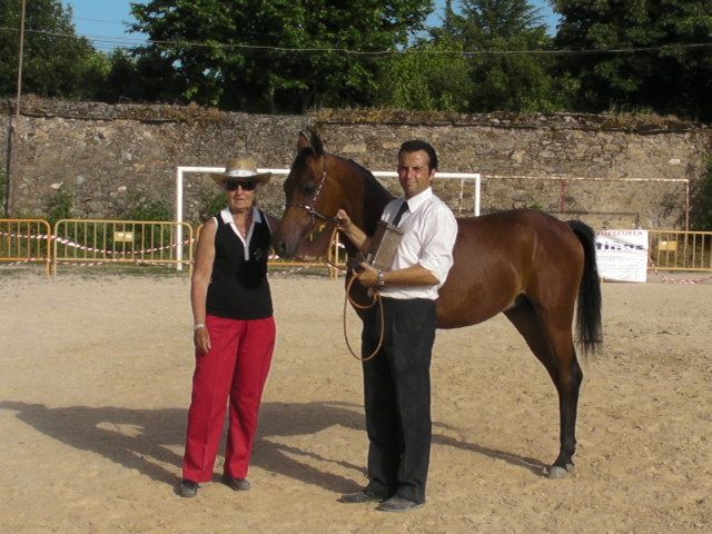 NIGAS DE NAUTIAC - Arabier 2007 ,  NUREK DE NAUTIAC