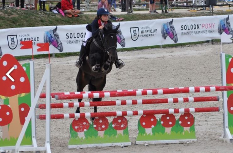 LOVELYHILL MAGICAL HEIGHT - New Forest 2010 ,  APPLEWITCH PURE MAGIC