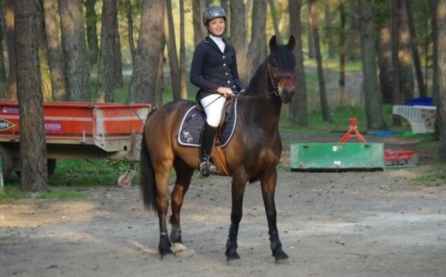 QUOKTAIL PEARL - New Forest 2004 ,  WILLOWWAY PIPER'S BAY (GBR)