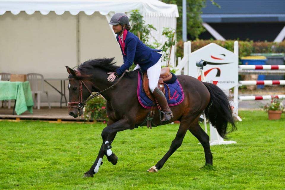 QUOKTAIL PEARL - New Forest 2004 ,  WILLOWWAY PIPER'S BAY (GBR)