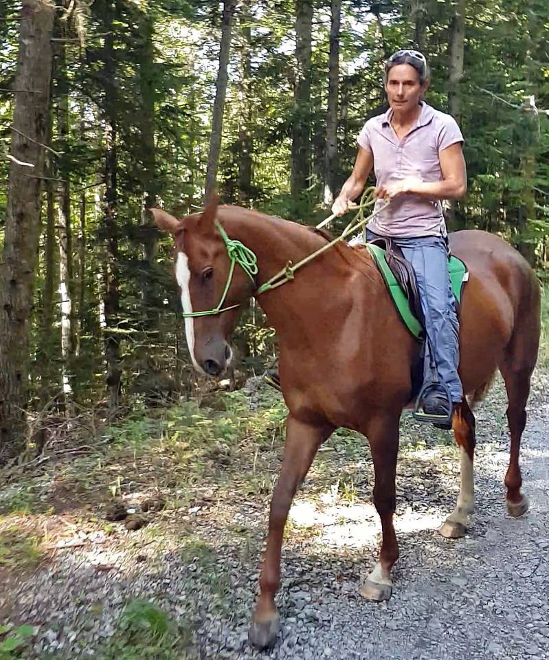 Merrie Akhal-Teke Te koop 2017 Vos ,  Raymar, AT